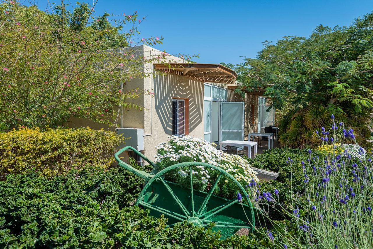 Eilot Kibbutz Country Lodging 엘라트 외부 사진