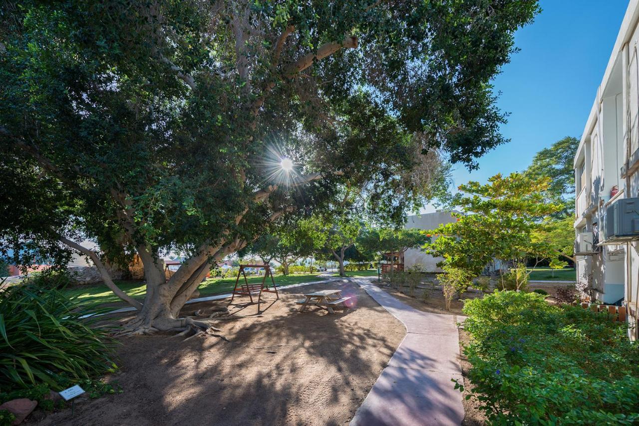 Eilot Kibbutz Country Lodging 엘라트 외부 사진