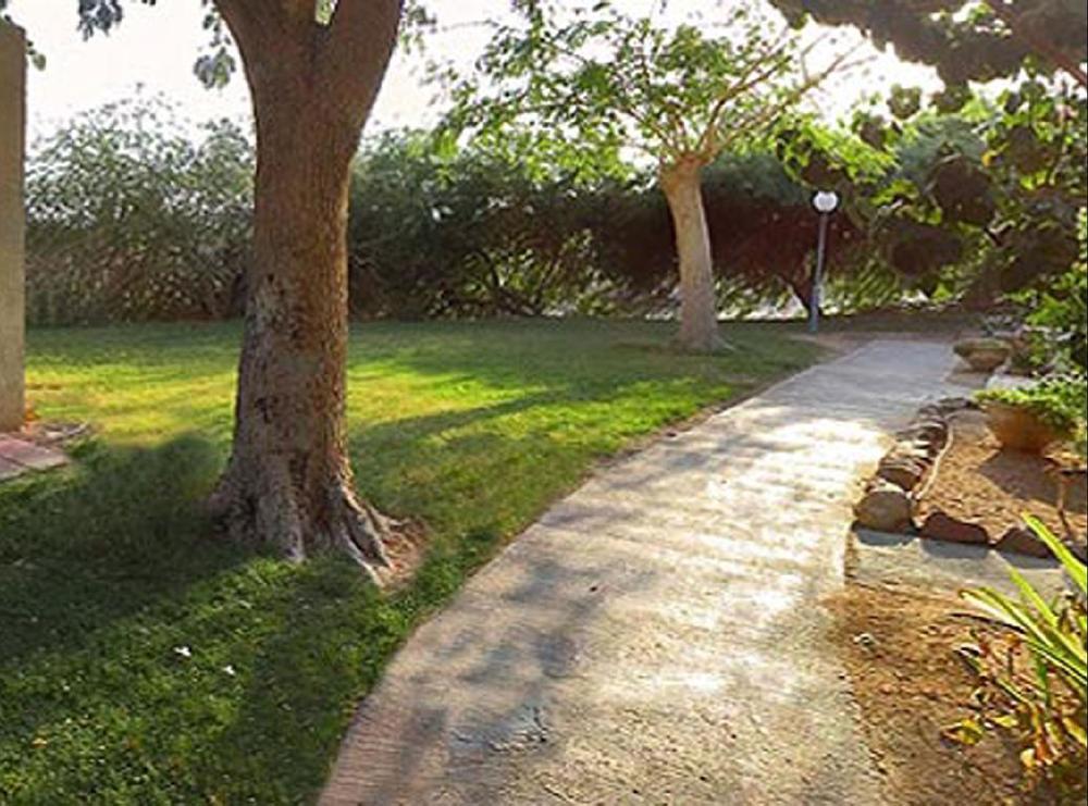 Eilot Kibbutz Country Lodging 엘라트 외부 사진